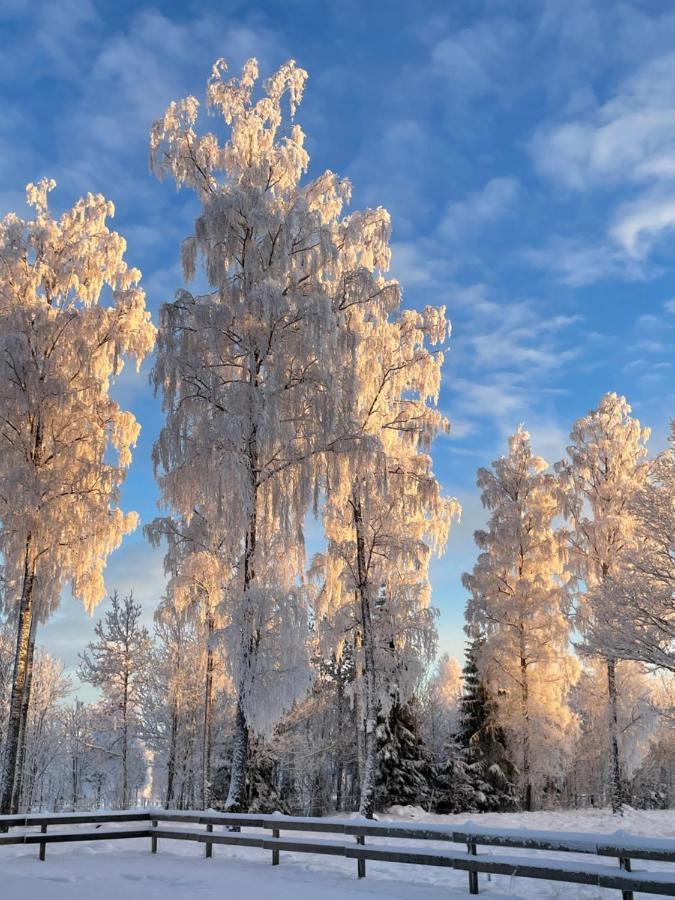 B & B Flattinge Fritidshus Vittaryd Экстерьер фото